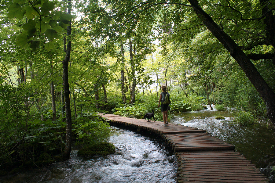 6096_In Plitvicka jezera N.P..JPG